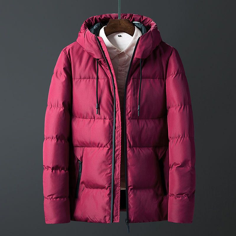Heren Winter Dikke Warme Winddichte Outdoor Gewatteerde Jas Parka
